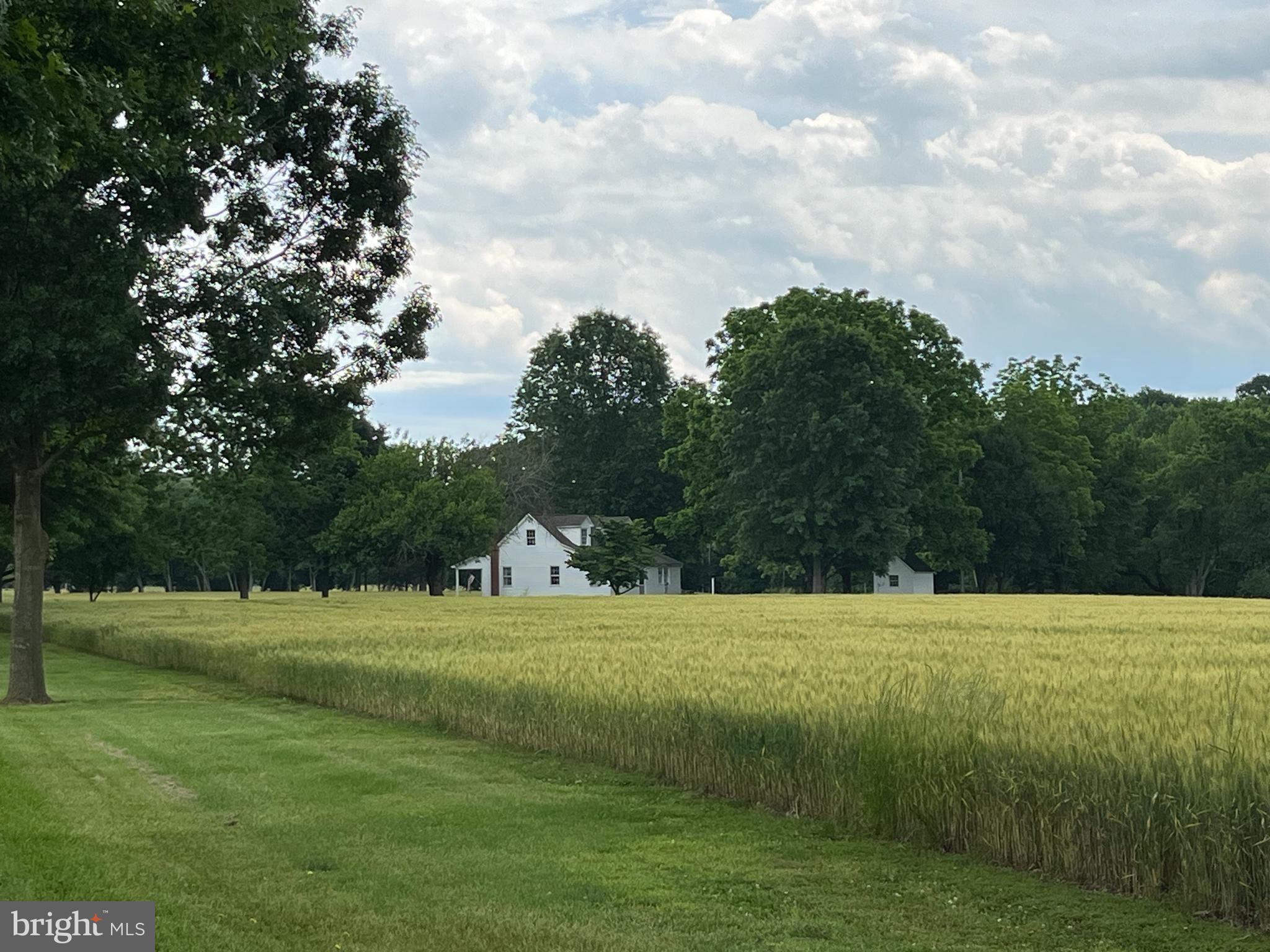 BAYSIDE - Residential