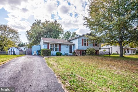 9134 HONEYSUCKLE DRIVE EASTON MD 21601