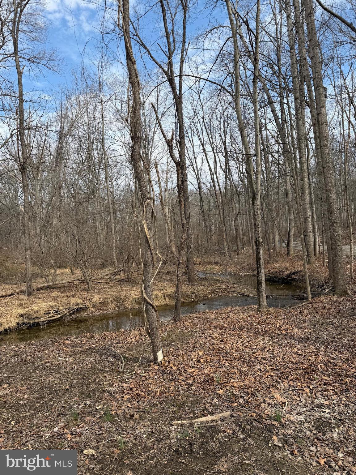 DAMASCUS OUTSIDE - Land