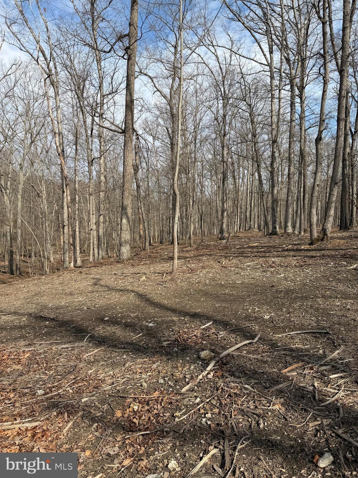 DAMASCUS OUTSIDE - Land