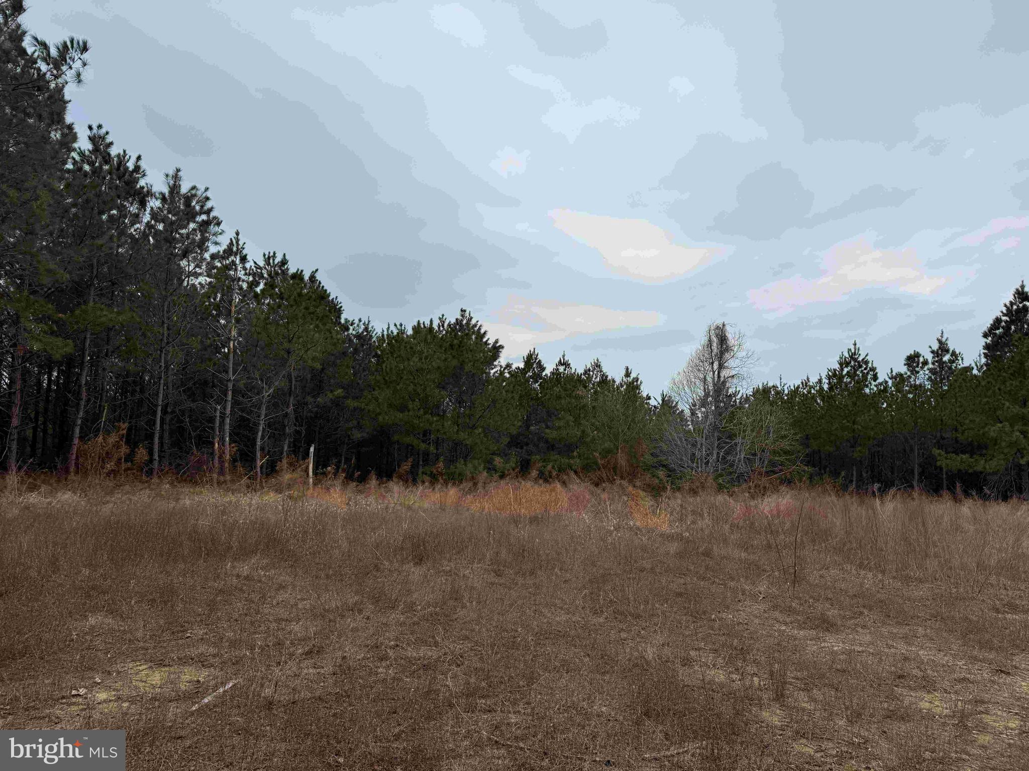 Property Search DOGWOOD DRIVE (TRACT: TANAGER ET2-2006)