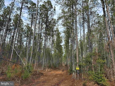 DOGWOOD DRIVE (TRACT: TANAGER ET2-2006) FARNHAM VA 22460