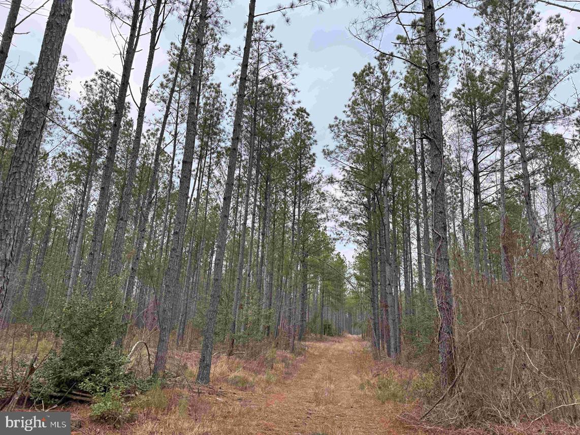 Property Search DOGWOOD DRIVE (TRACT: TANAGER ET2-2006)