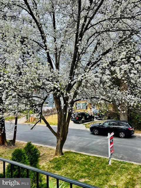 ROXBORO - Residential Lease