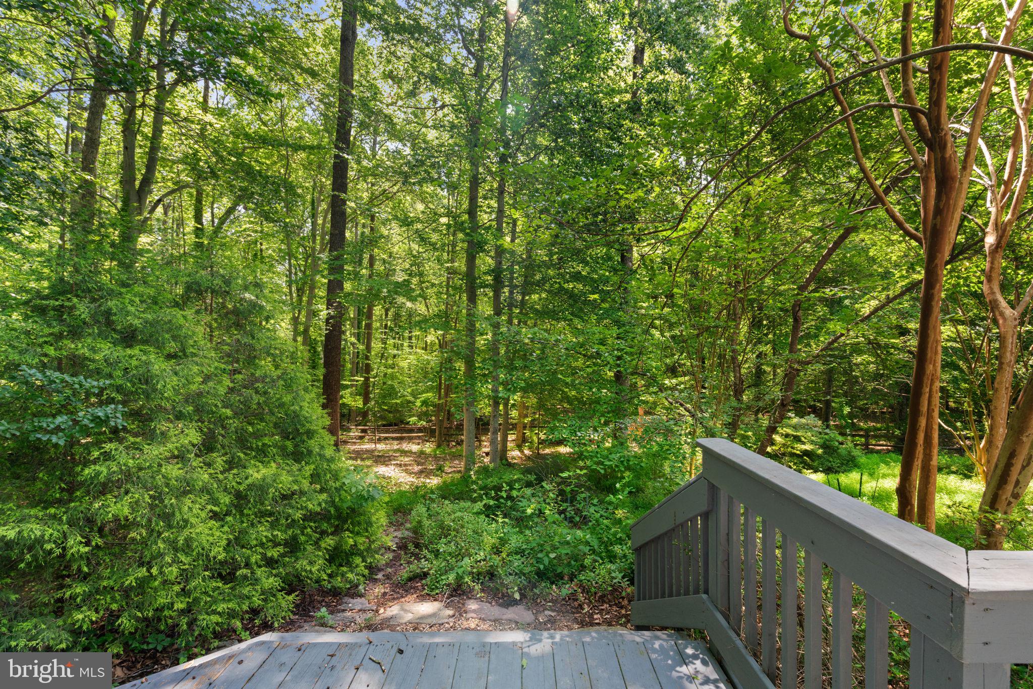 OCCOQUAN FOREST - Residential