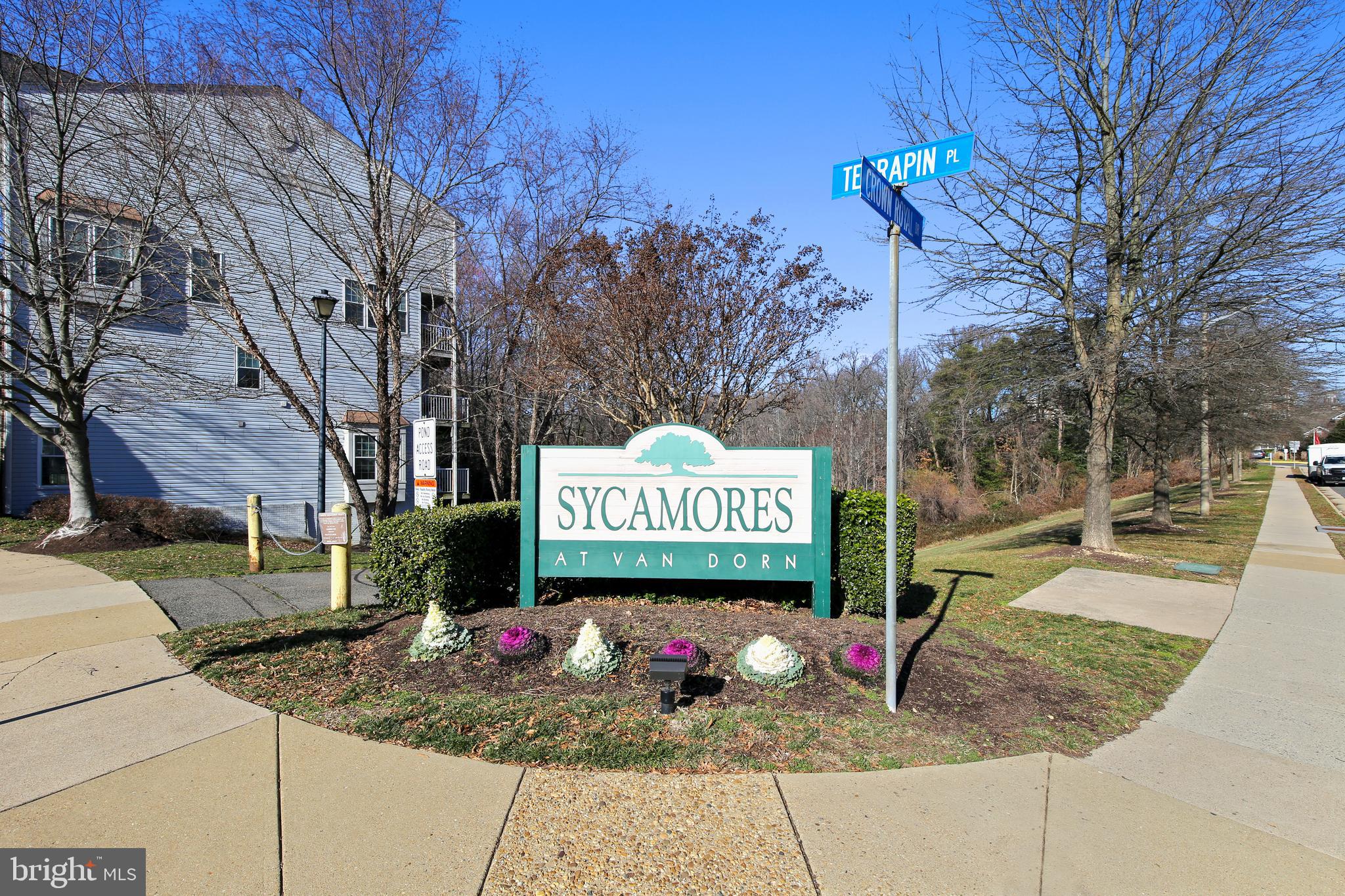 SYCAMORES AT VAN DORN - Residential