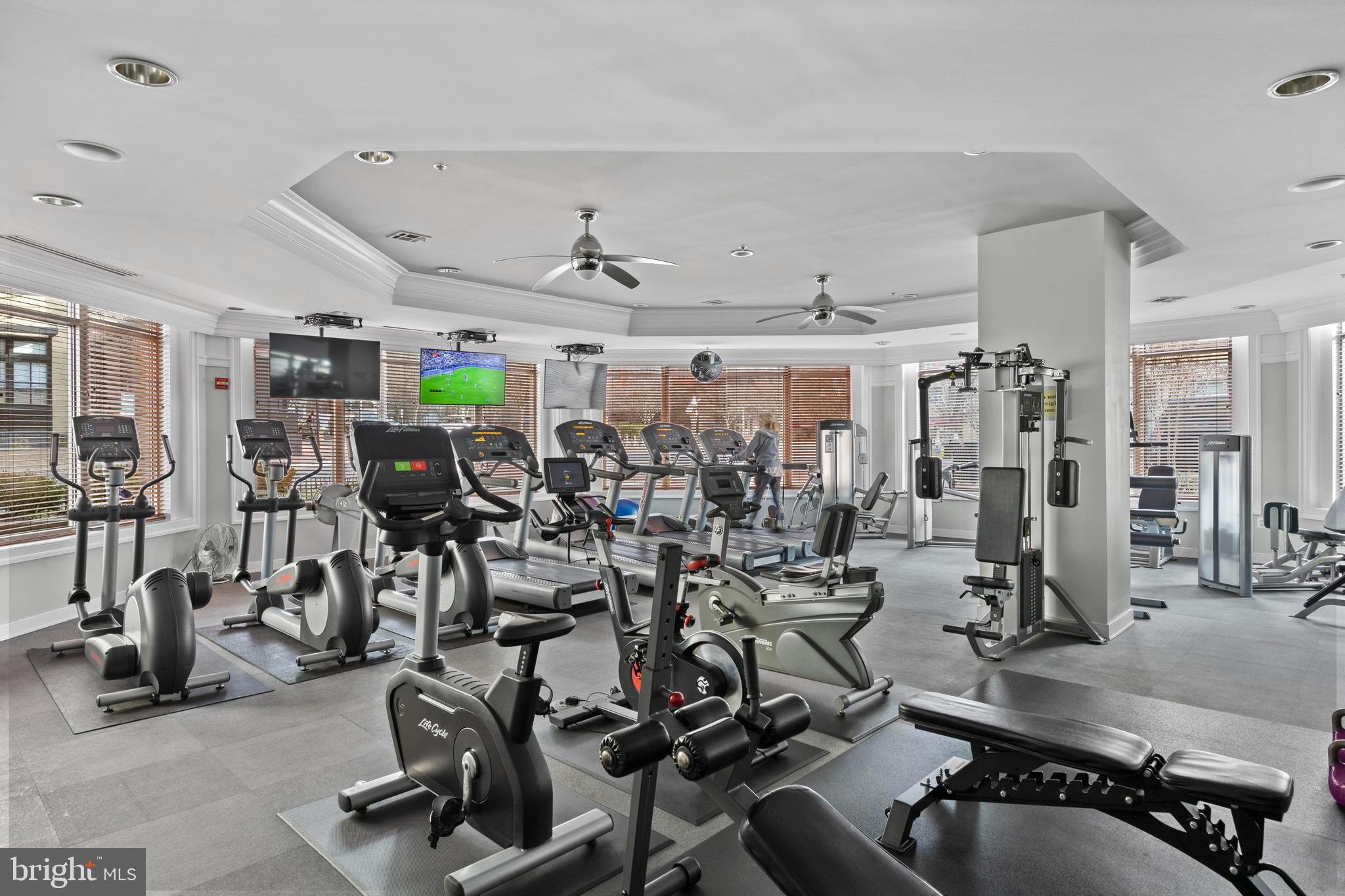 SAVOY AT RESTON TOWN CENTER - Residential