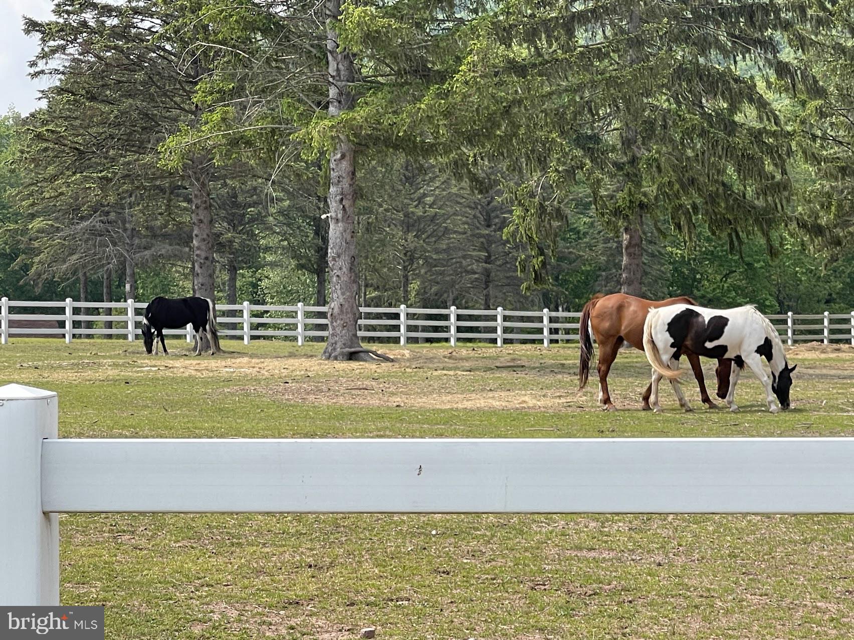 EAGLE ROCK RESORT - Residential