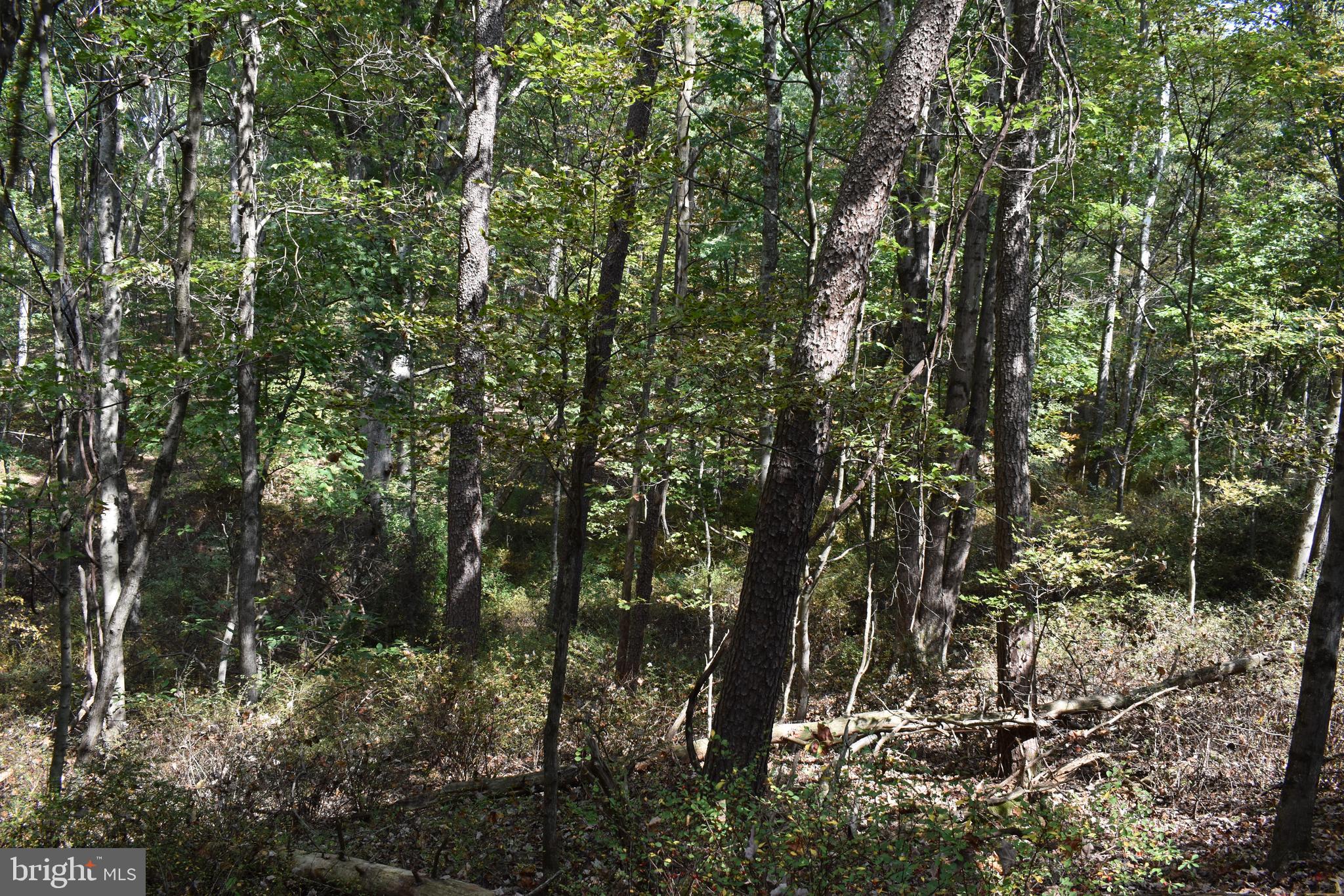 OLD MORGAN FARMS - Land