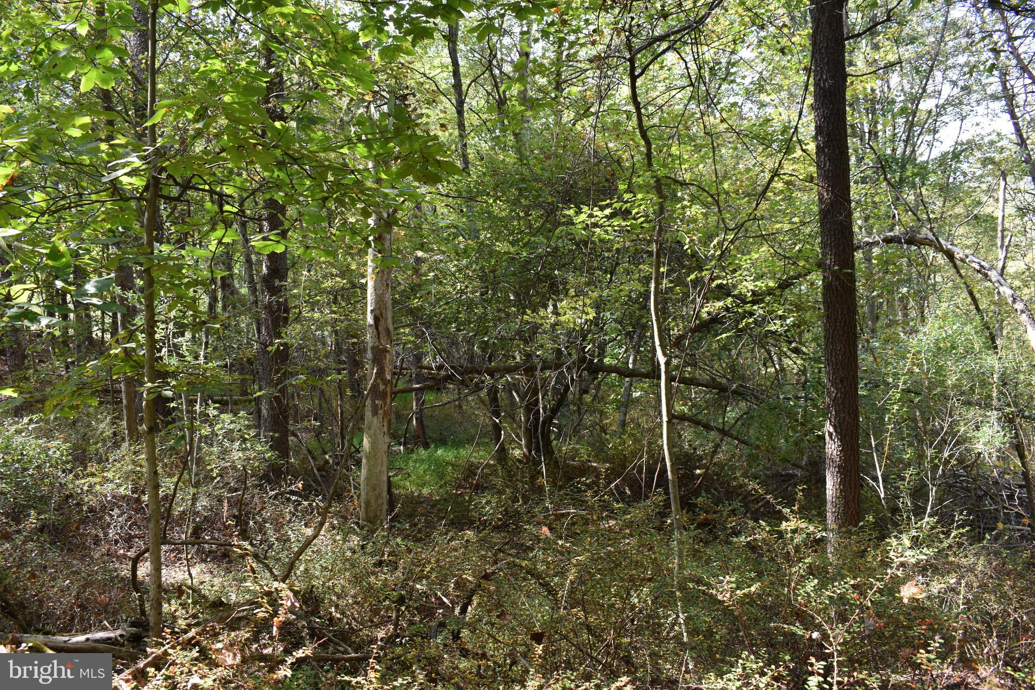 OLD MORGAN FARMS - Land