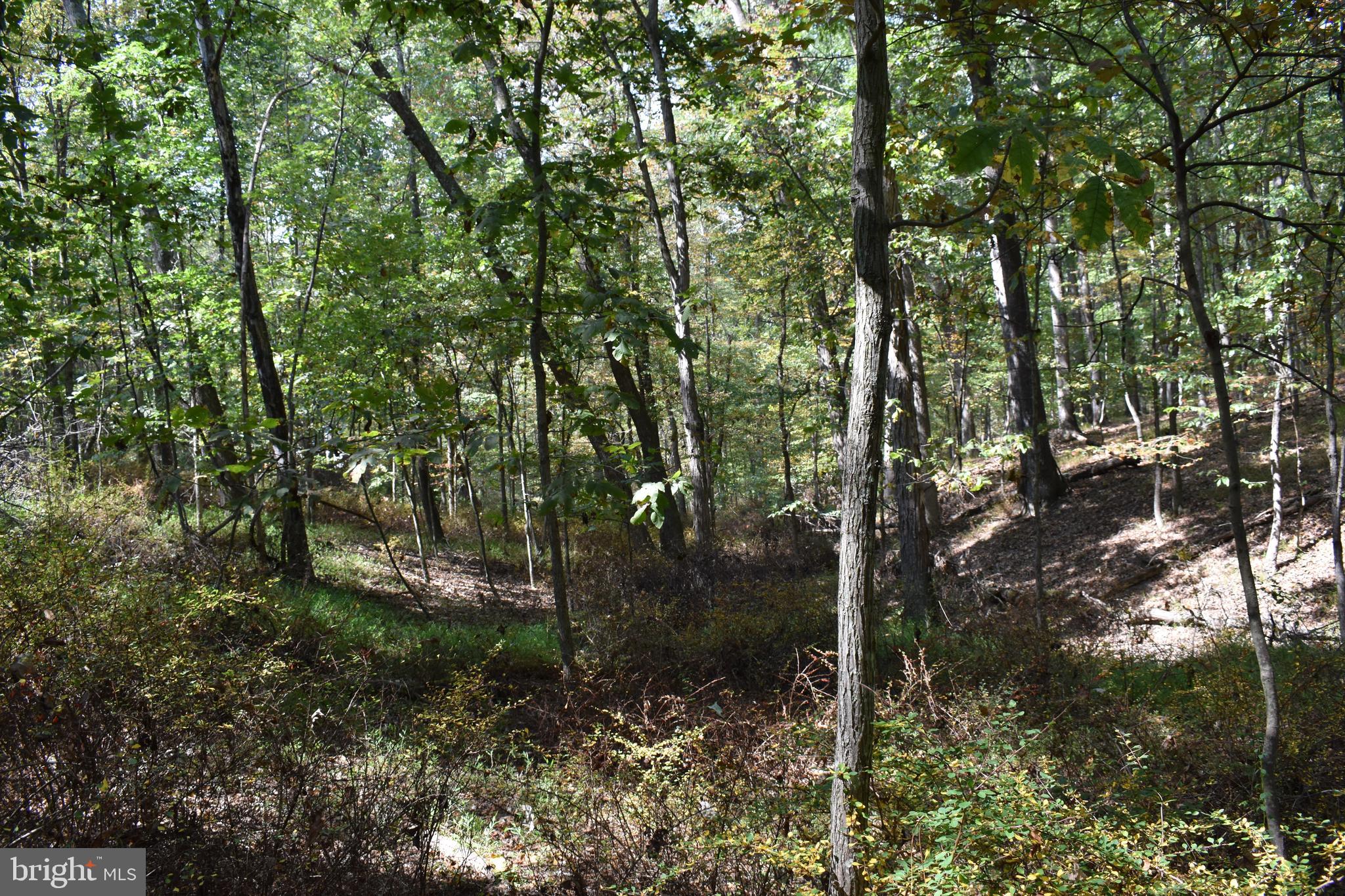 OLD MORGAN FARMS - Land