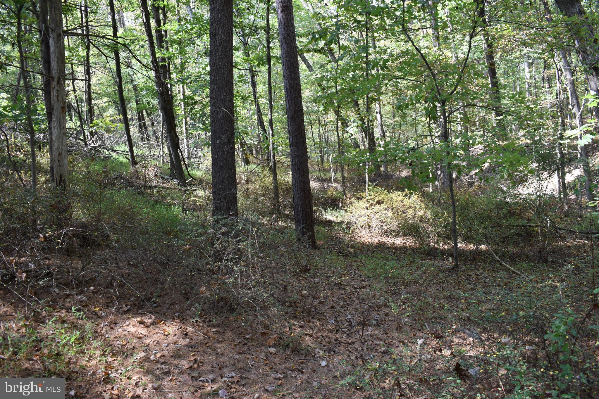 OLD MORGAN FARMS - Land