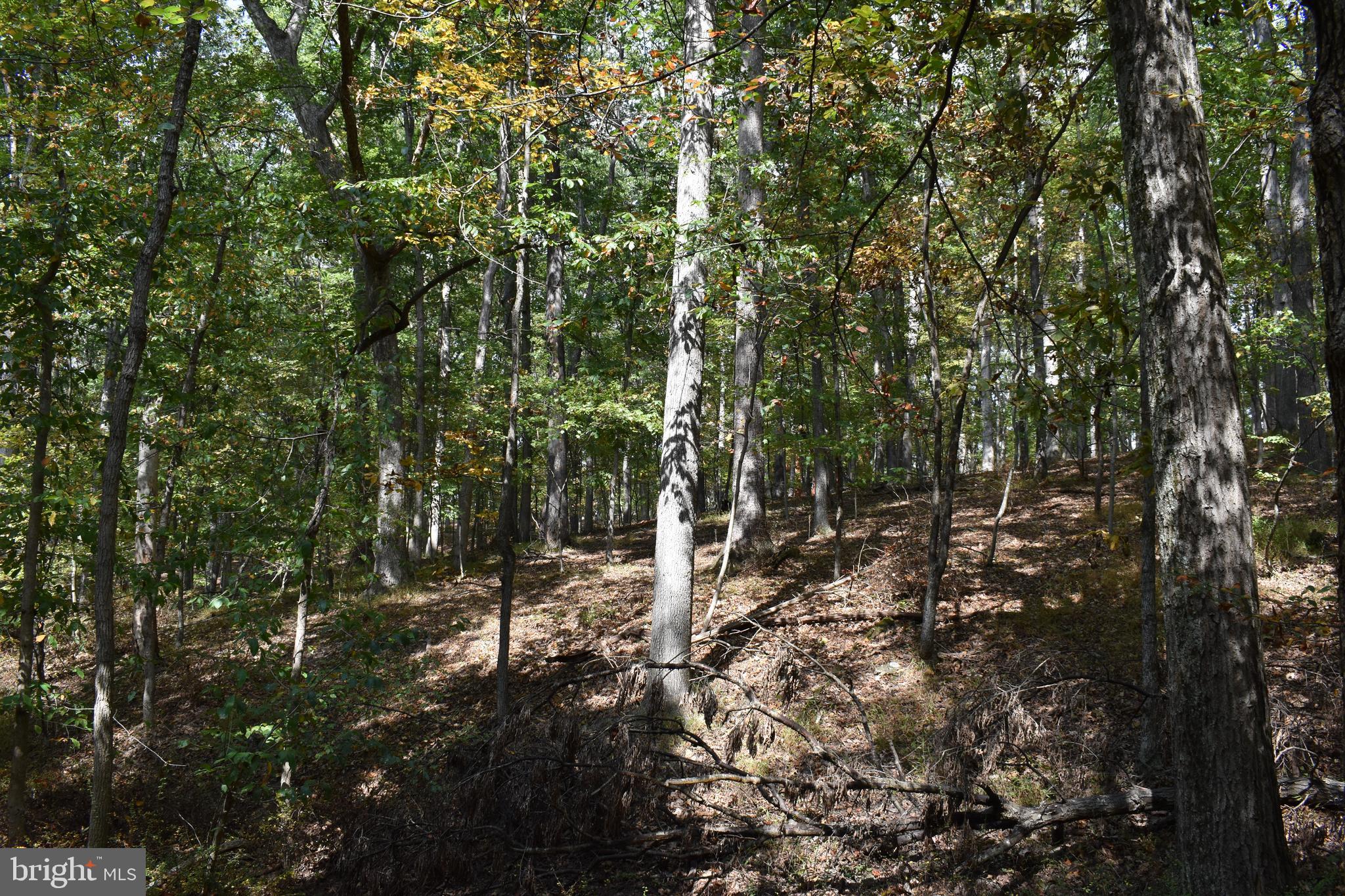 OLD MORGAN FARMS - Land