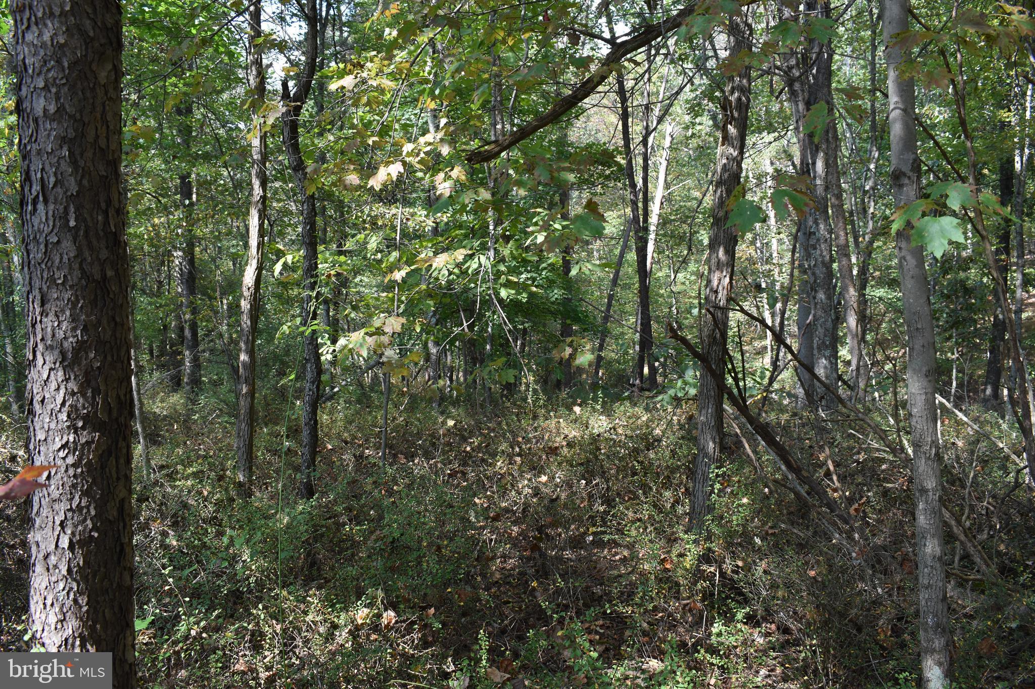 OLD MORGAN FARMS - Land