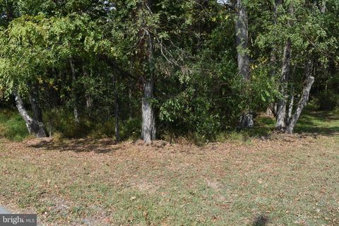 Vacant Land For Sale - 19 Mountain Laurel Drive<br/> Morgan County, BERKELEY SPRINGS, WV 25411