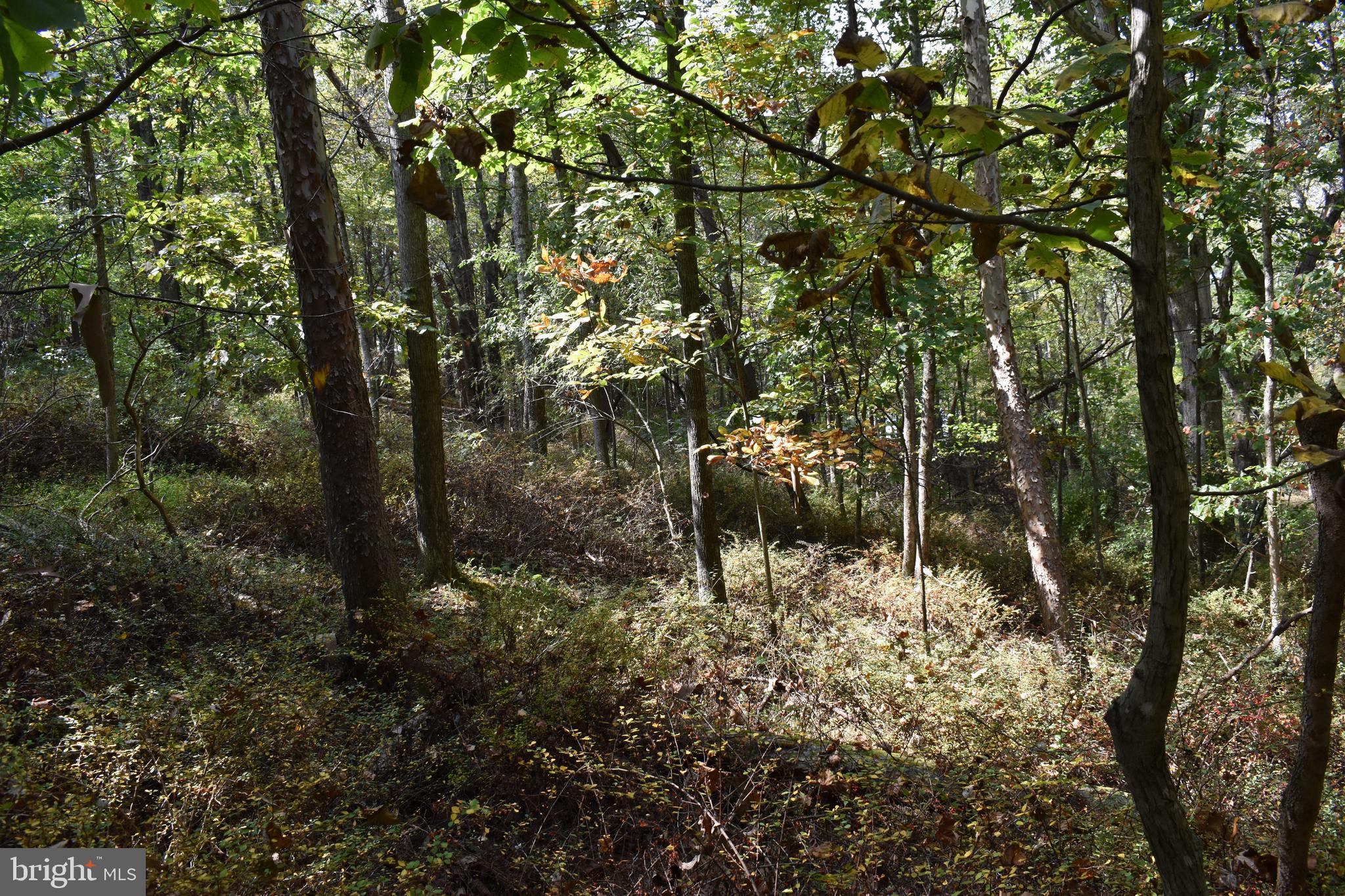 OLD MORGAN FARMS - Land