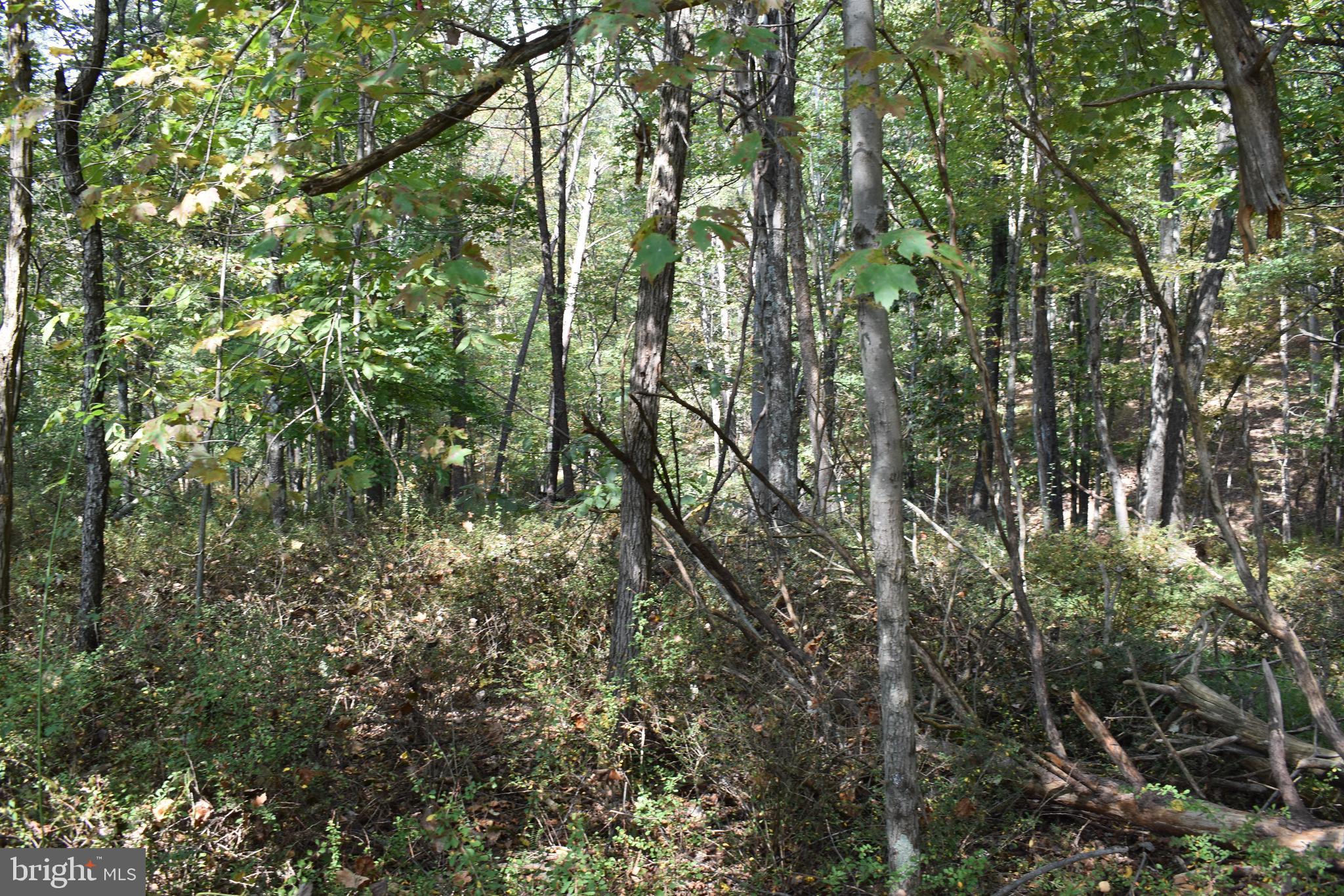 OLD MORGAN FARMS - Land