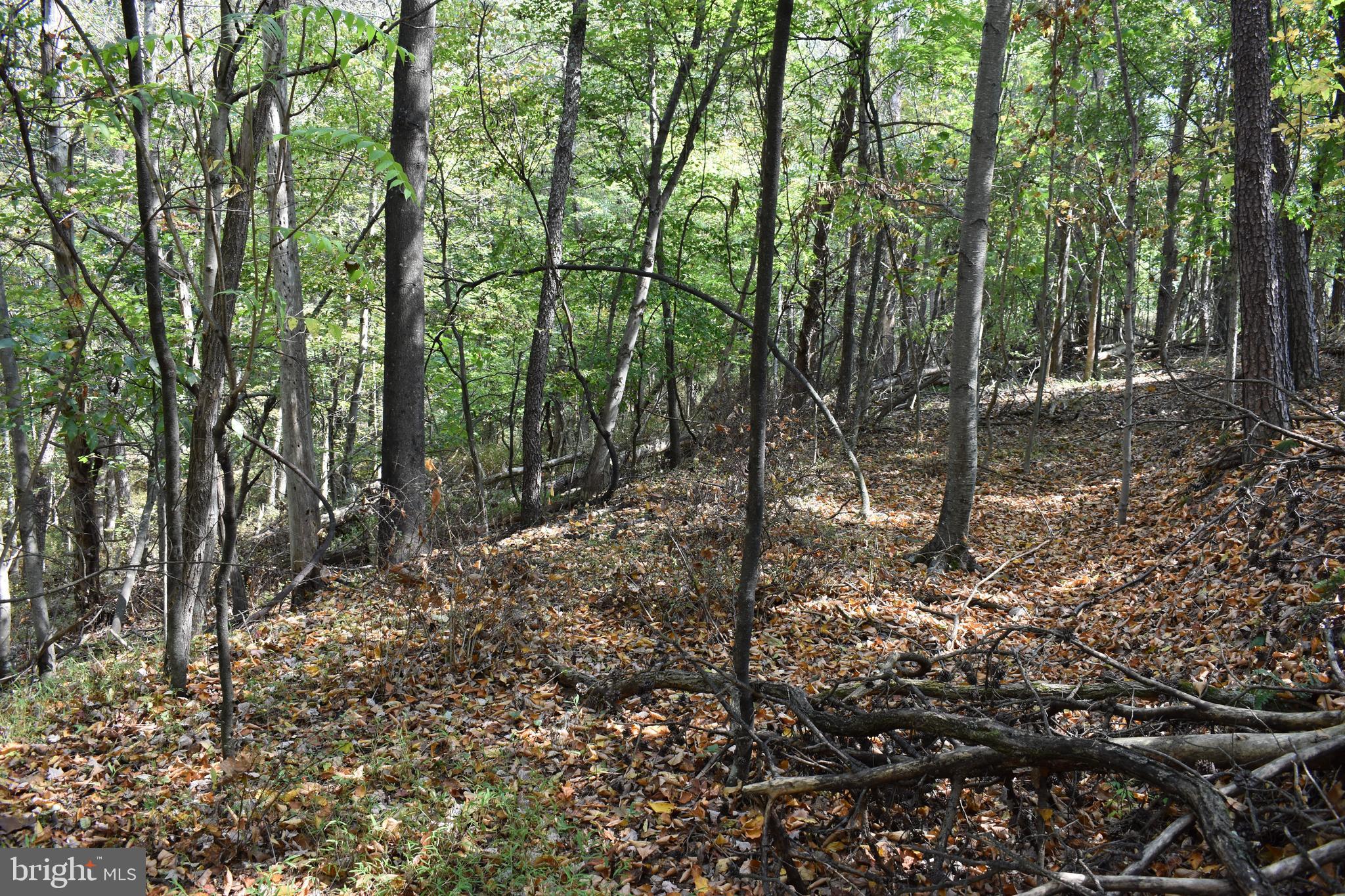 OLD MORGAN FARMS - Land