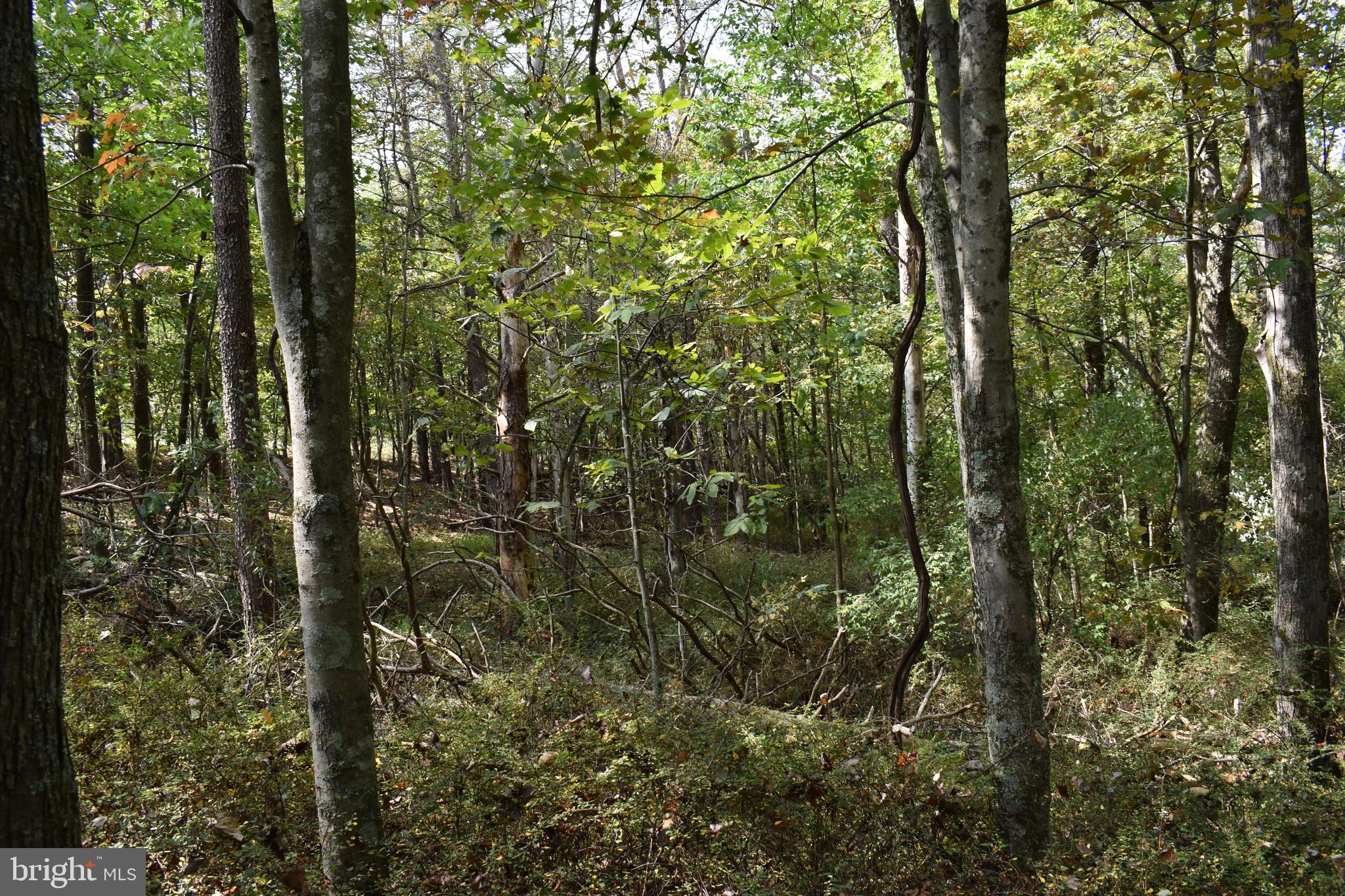 OLD MORGAN FARMS - Land