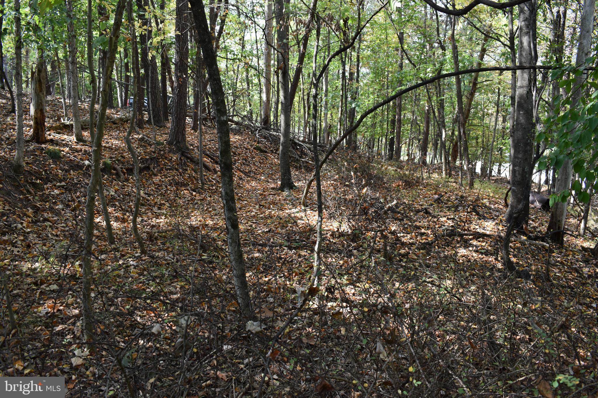 OLD MORGAN FARMS - Land