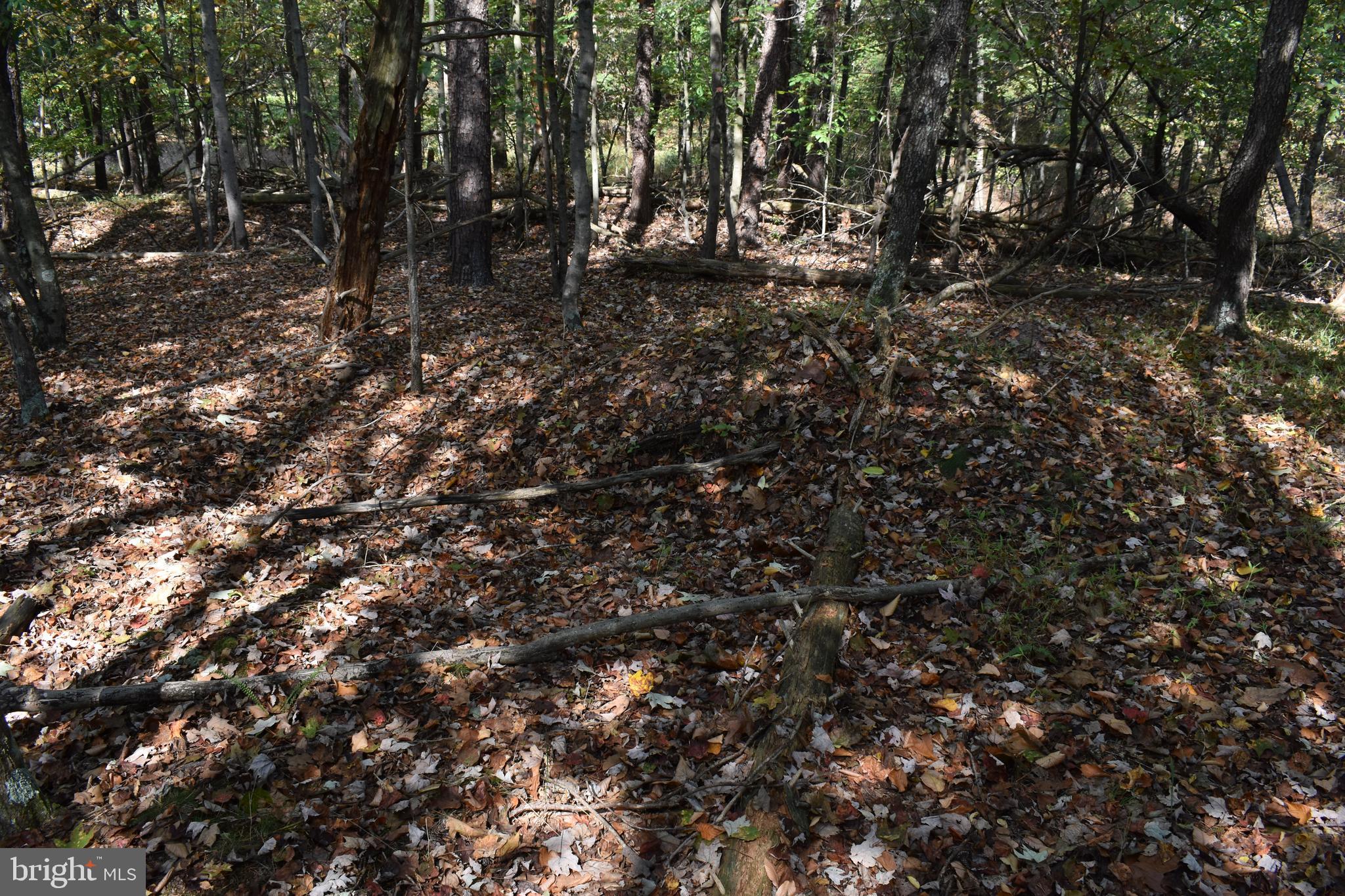 OLD MORGAN FARMS - Land