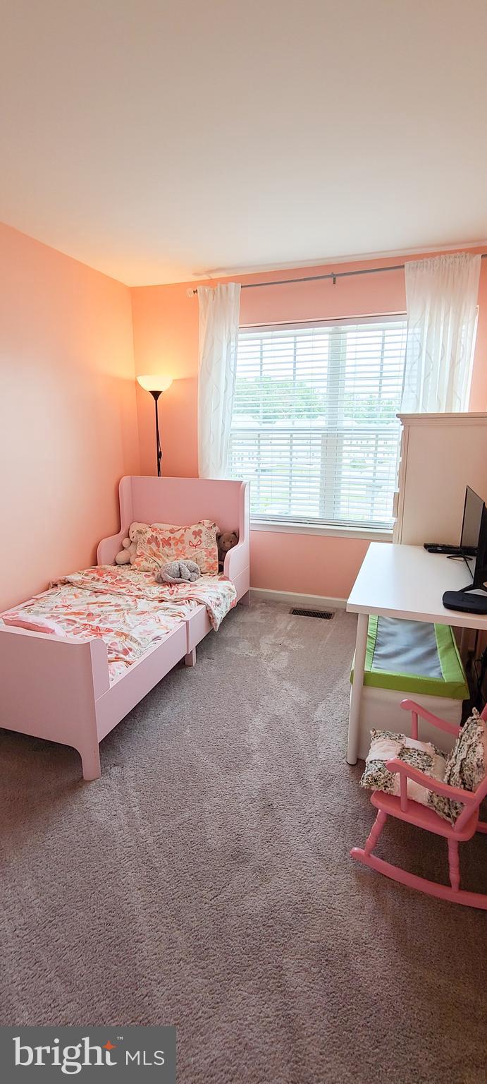 PRESERVE AT WINDLASS RUN - Residential