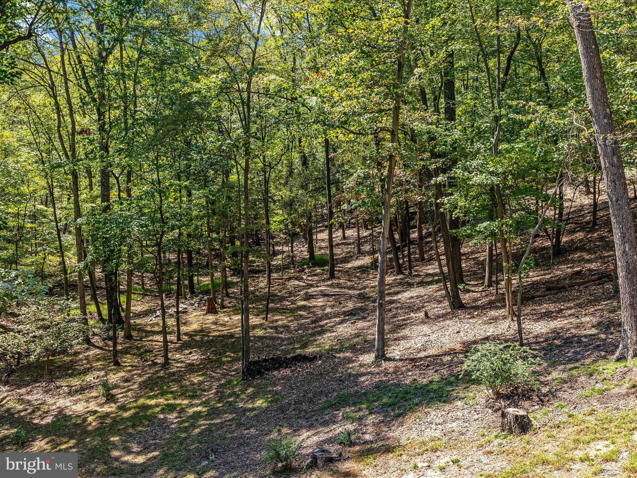 OAKMONT SUBDIVISION - Residential