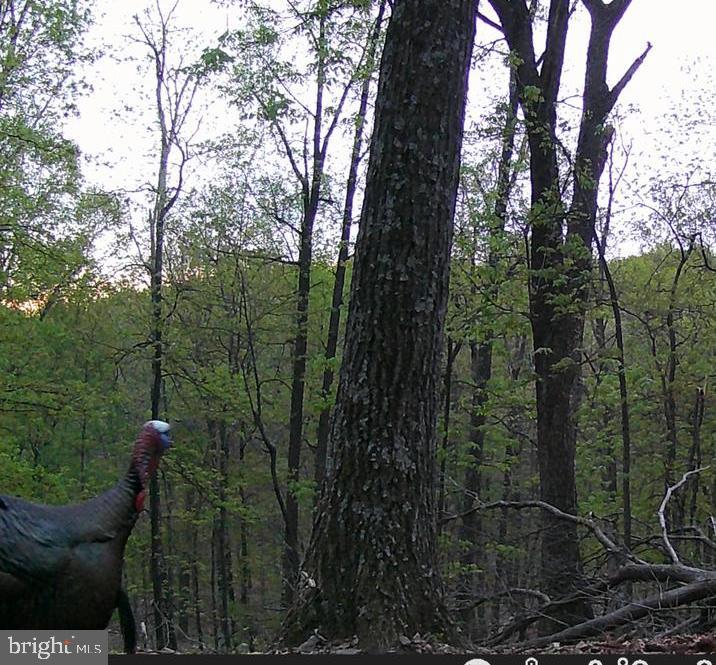 OAKMONT SUBDIVISION - Residential