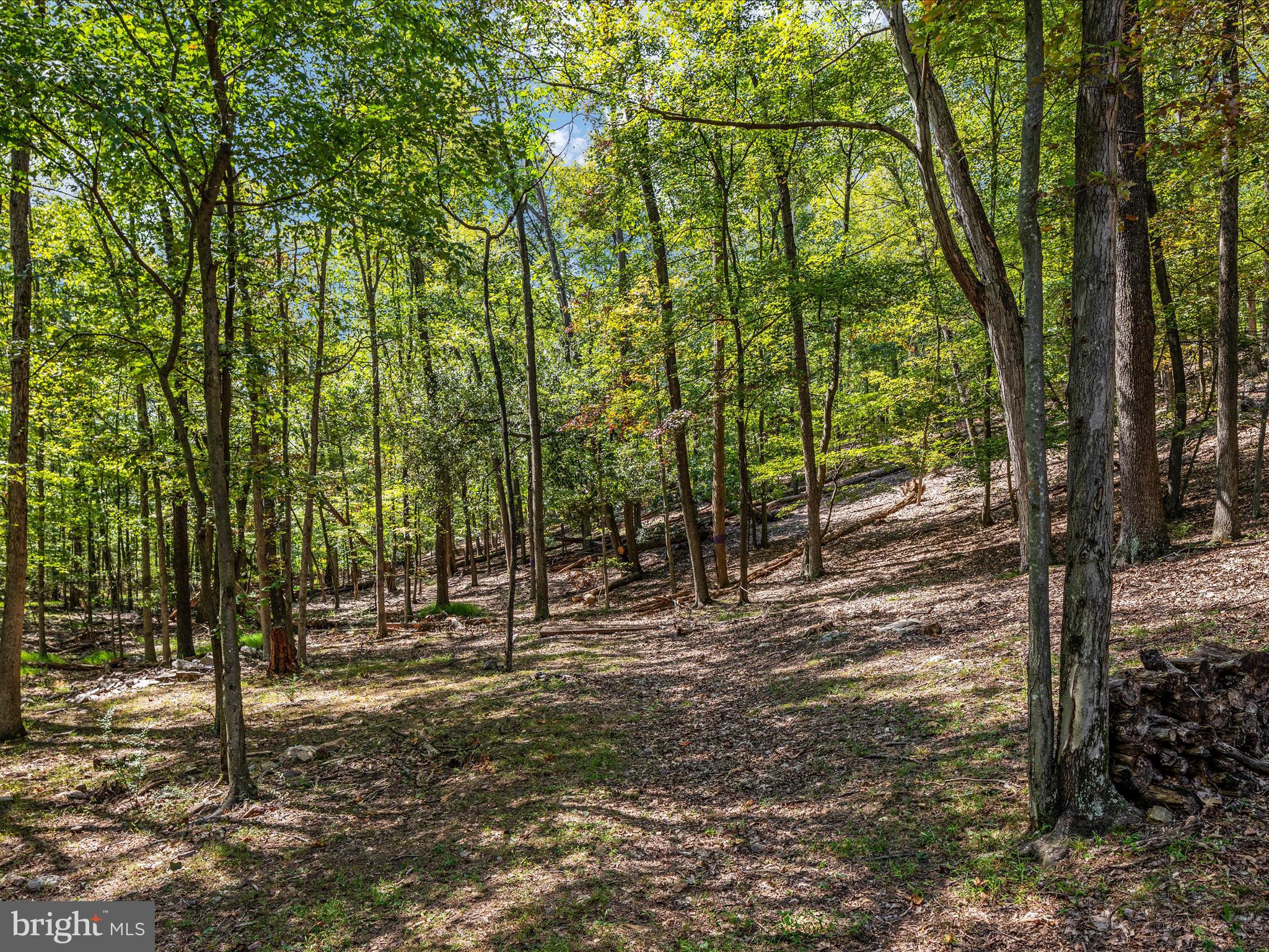 OAKMONT SUBDIVISION - Residential