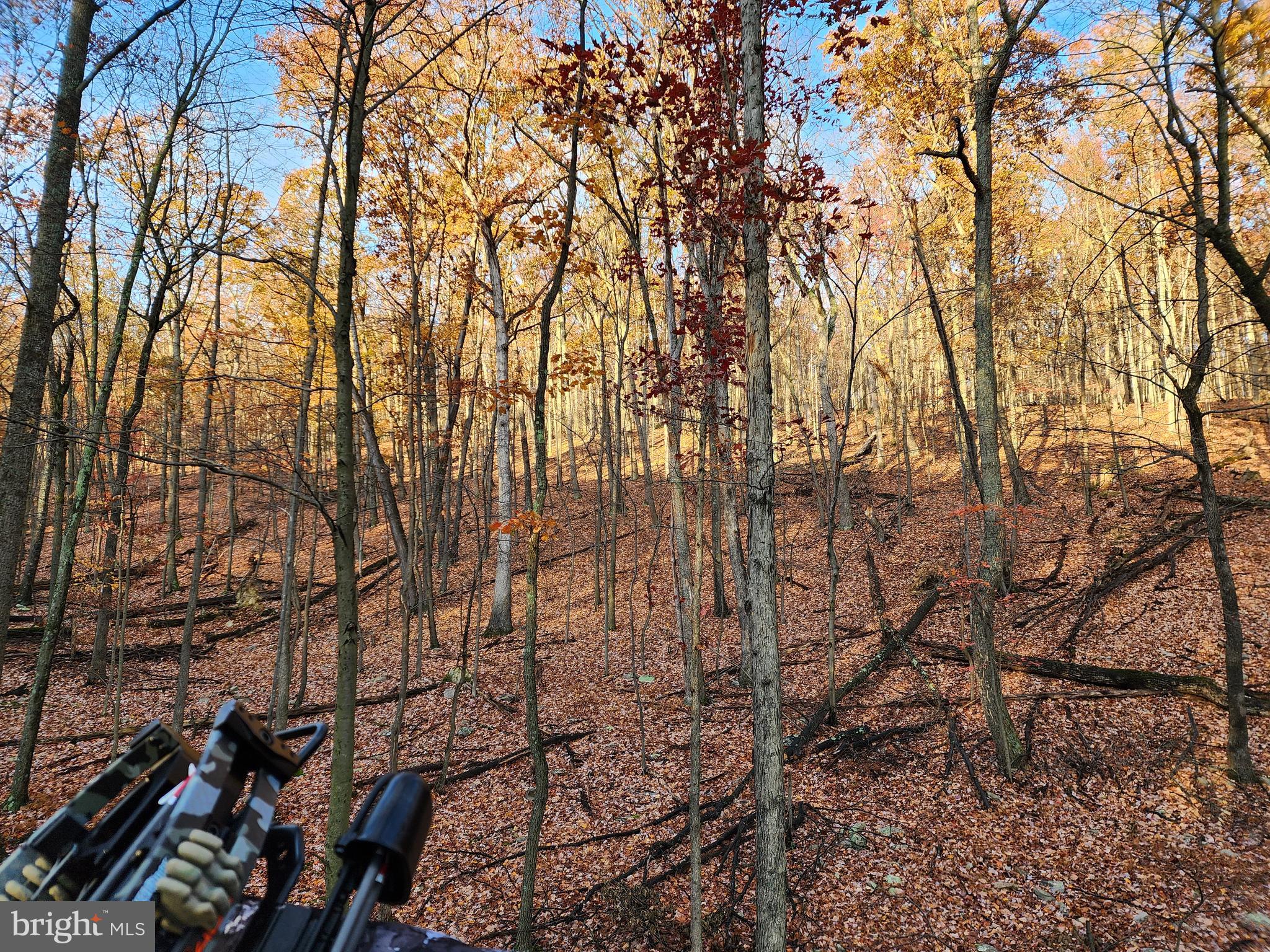 OAKMONT SUBDIVISION - Residential