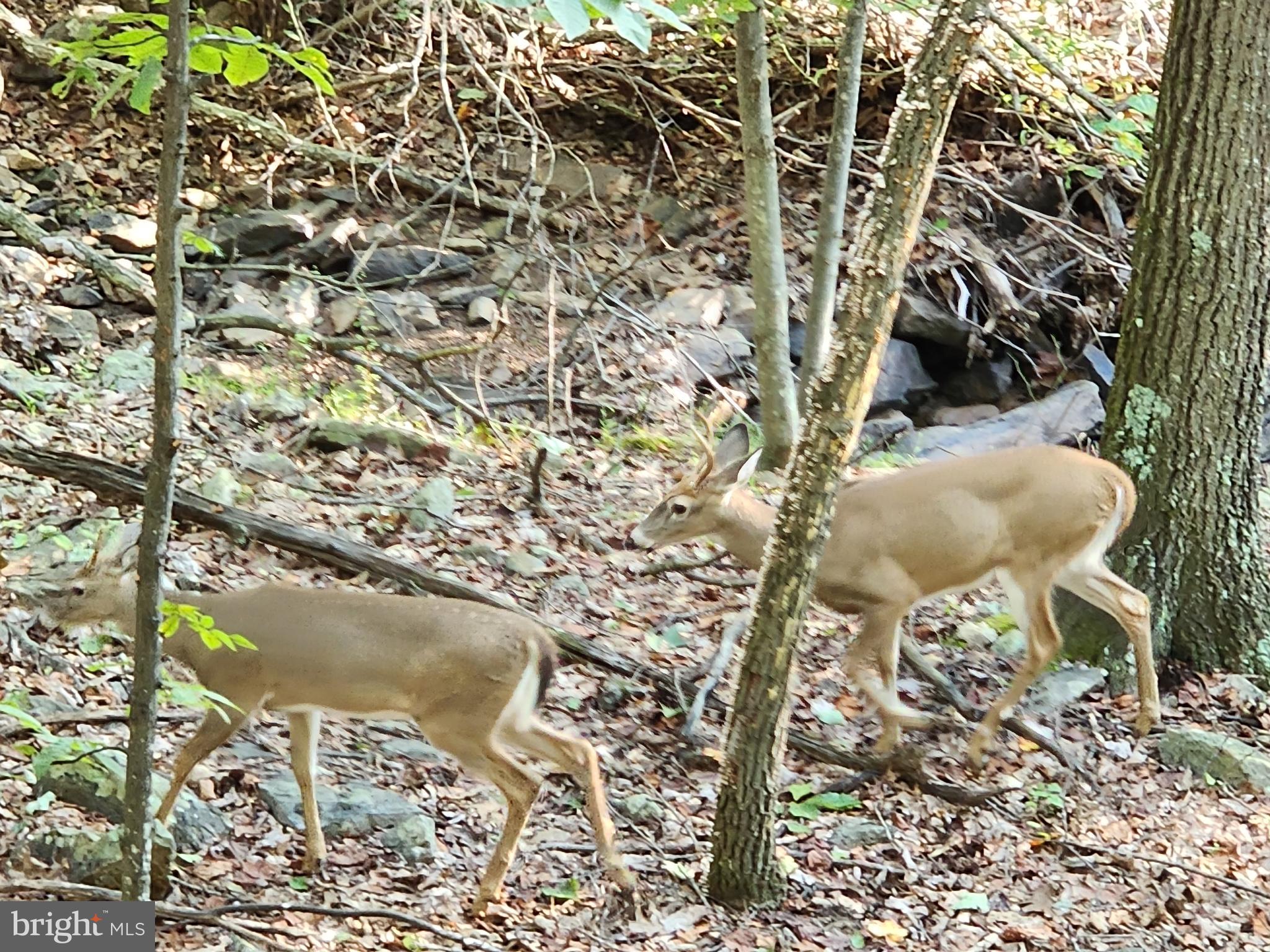 OAKMONT SUBDIVISION - Residential