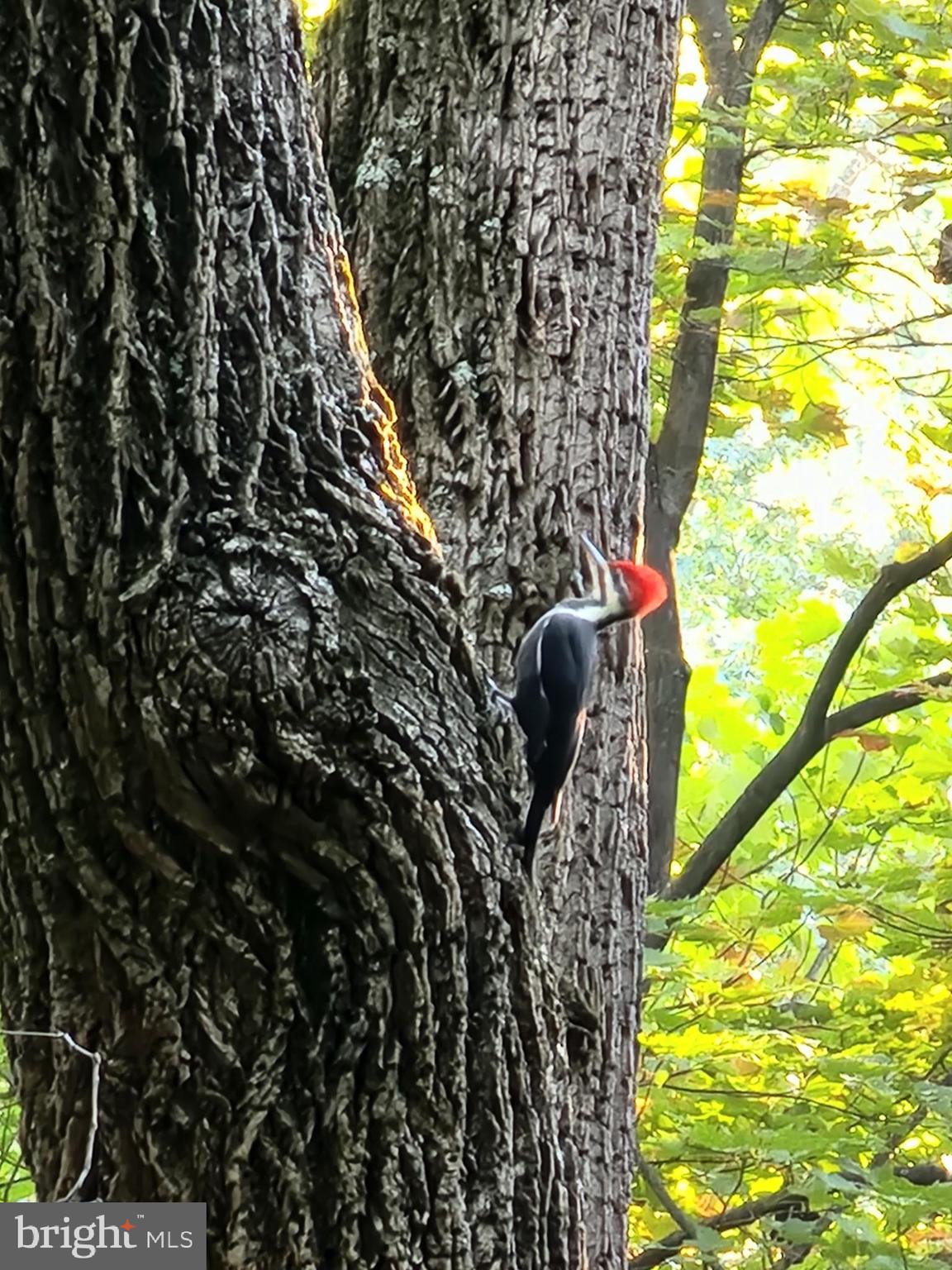 OAKMONT SUBDIVISION - Residential