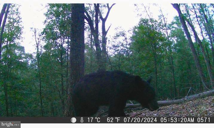 OAKMONT SUBDIVISION - Residential