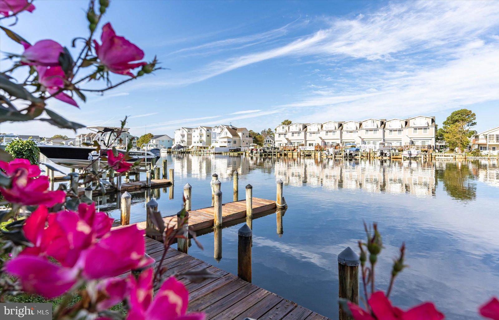 CAINE WOODS - Residential