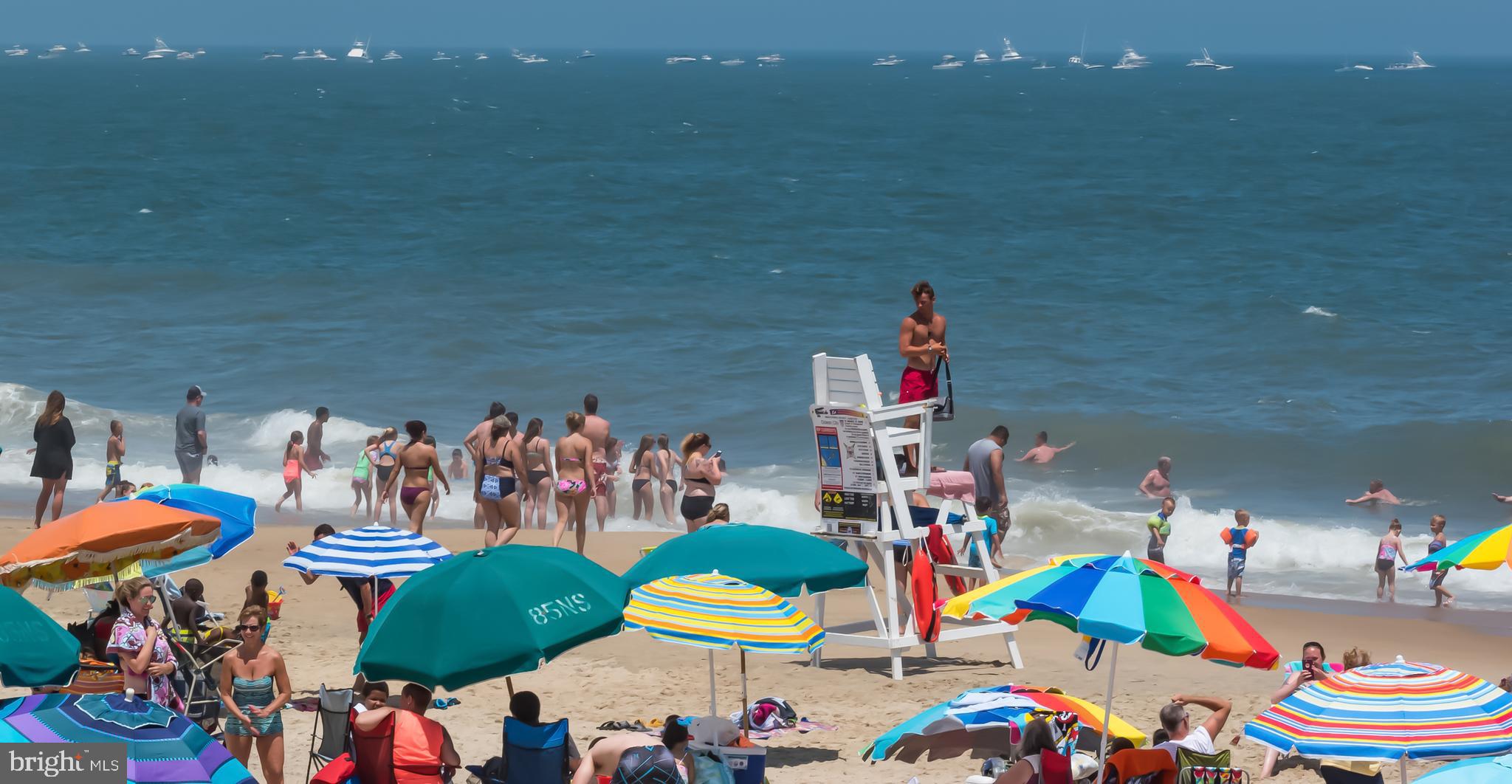 CAINE WOODS - Residential