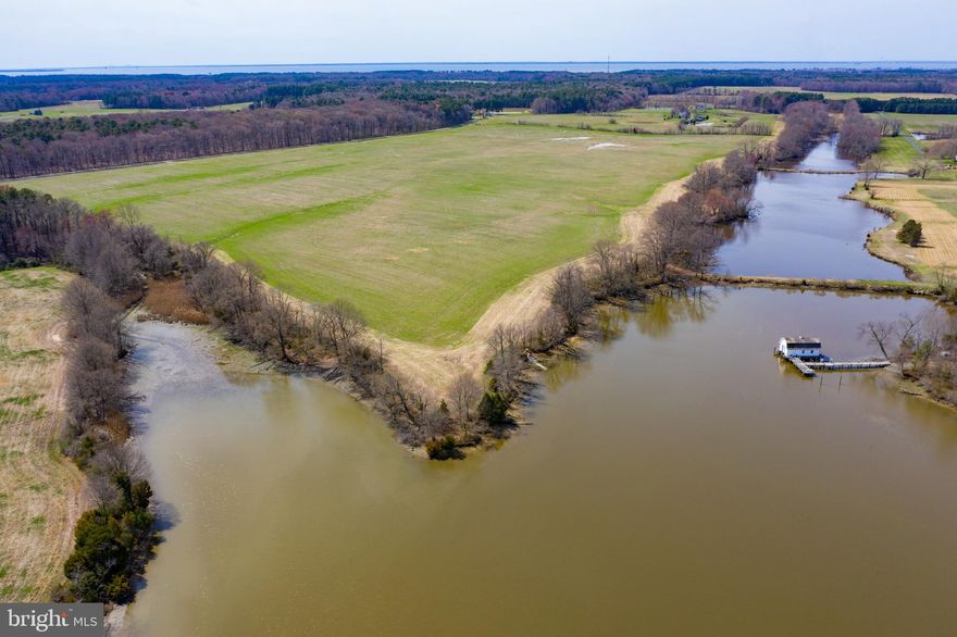 1,000 feet of waterfront on Bungay Creek (4' MLW).  161.15 Total Acres - 107 tillable acres, 51 wooded acres, 2 ponds.  Perc Approved.  Subject to current farm lease.  THERE IS NO HOME / STRUCTURE ON THIS FARM