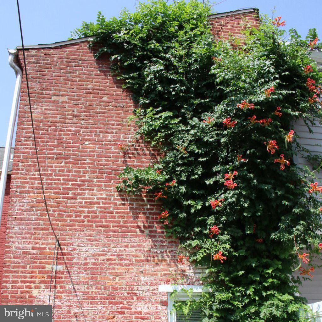 35 N MULBERRY STREET