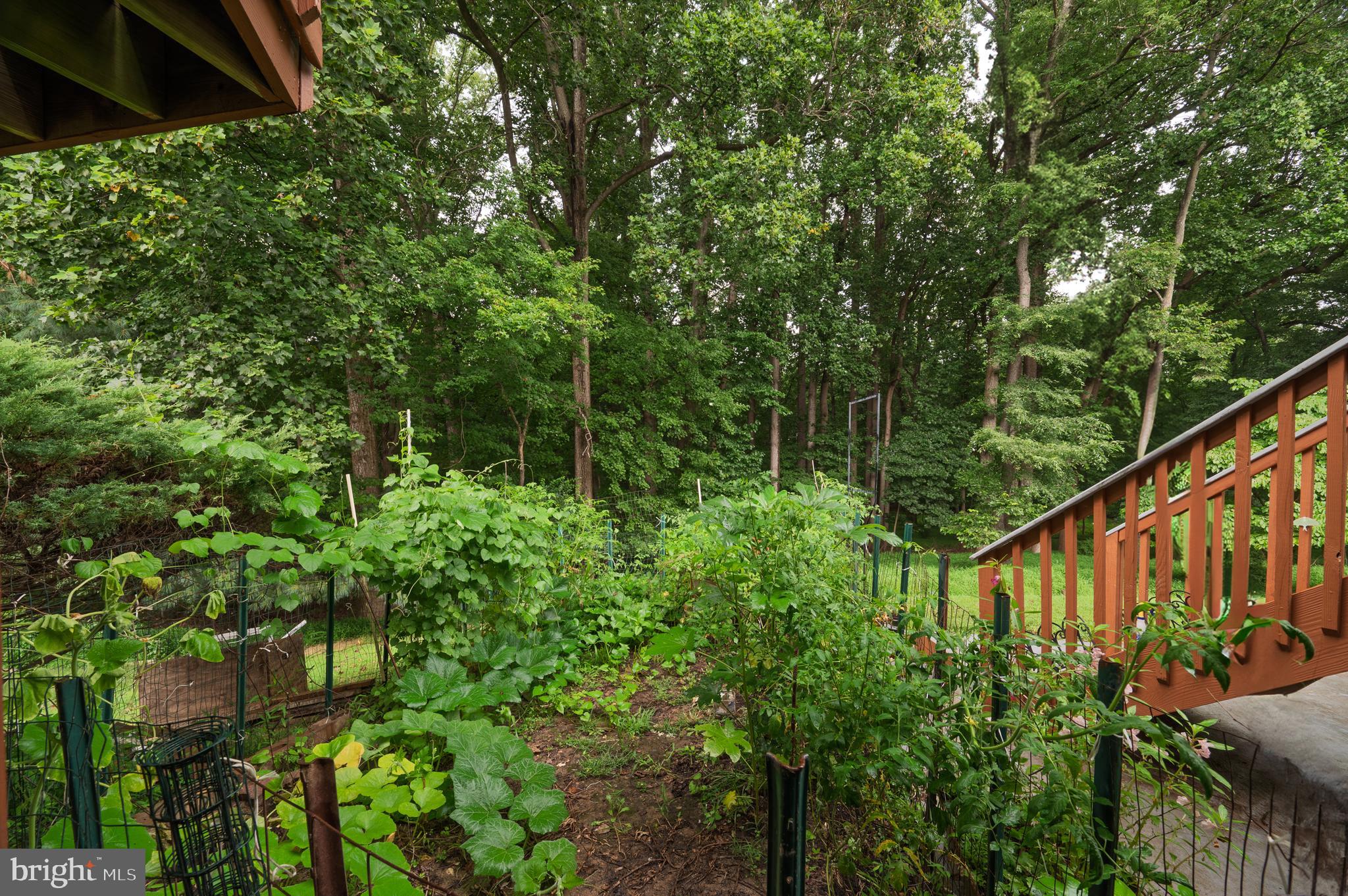 FAIRLAND - Residential Lease