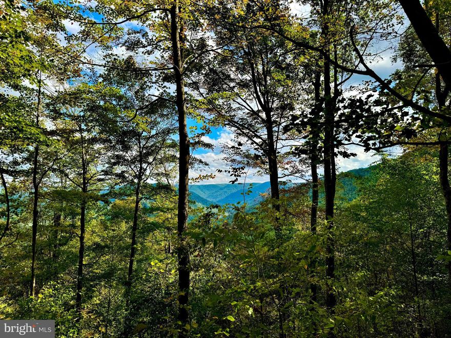 "The Mountains Are Calling" Just 3 +/- miles outside of Webster Springs, this breathtaking 60 +/- acres awaits. Listen to the Elk River roar through the canyon below as you enjoy some of the best panoramic mountain views this state has to offer! Mostly timber property with numerous building sites to put your dream home or cabin. An old foundation and homesite can be found on the property. A gated, well kept road cuts through the middle of the property for easy access. Miles and miles of stocked West Virginia trout streams at your fingertips. Whitewater rafting, skiing, and hiking is all within a few miles. Just 25 miles to the nationally recognized Elk Springs Resort. Under 40 miles to Interstate 79 in Flatwoods. 50 miles to Snowshoe Mountain for skiing, golf, fishing, and more! Deer, turkey, rabbit, and bear abroad that make for excellent hunting. Another recreational paradise! Call for your showing today!