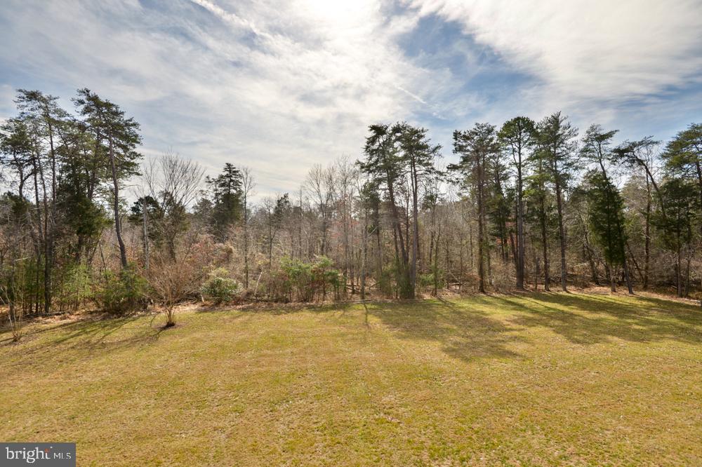 THE WOODS AT BULL RUN - Residential