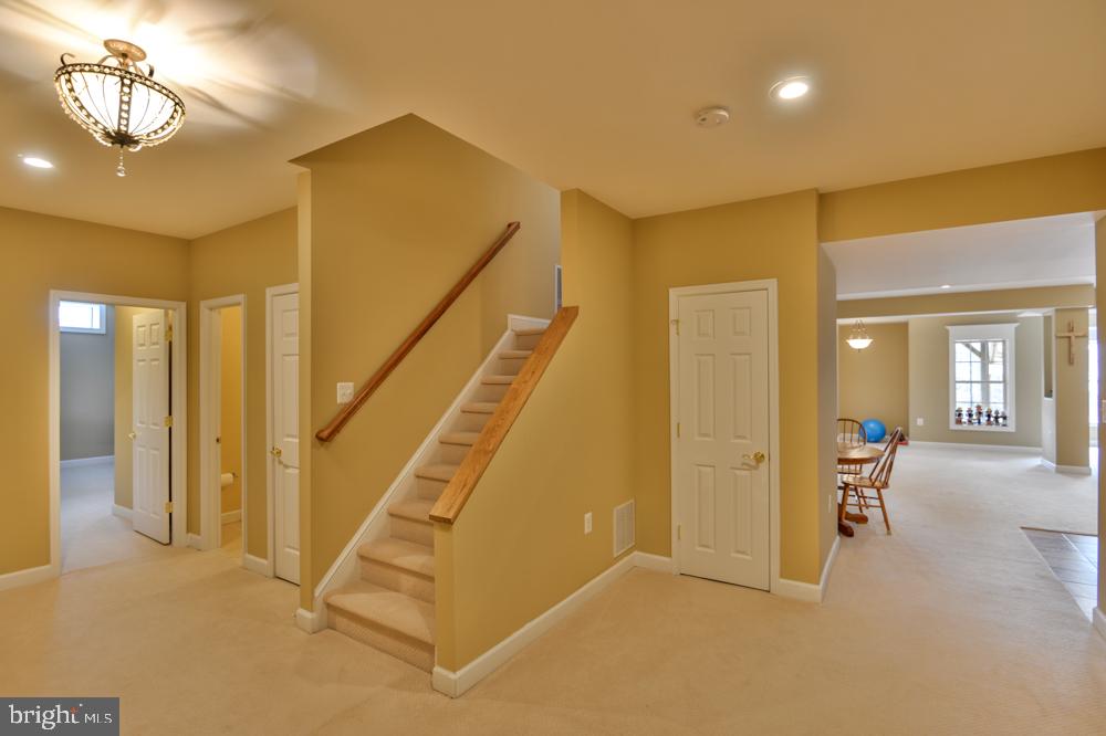 THE WOODS AT BULL RUN - Residential