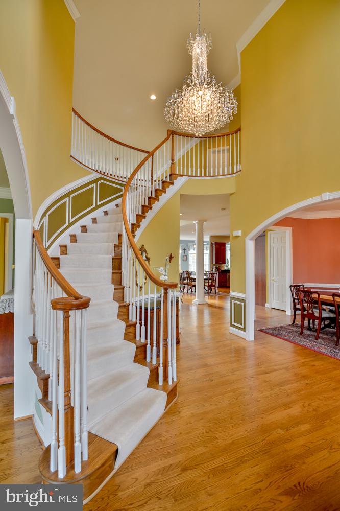 THE WOODS AT BULL RUN - Residential