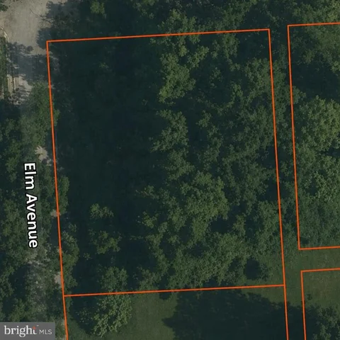 MLS: MDPG2206668