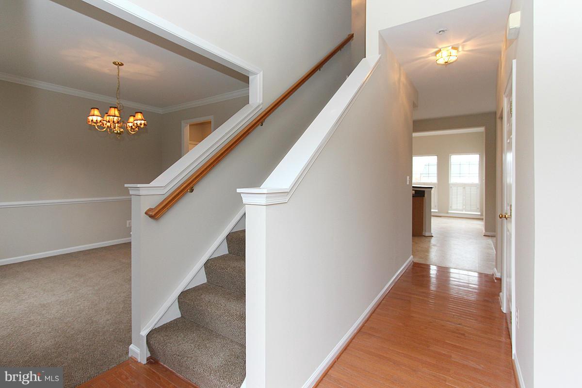 BRAEMAR/VILLAGES AT SAYBROOKE - Residential