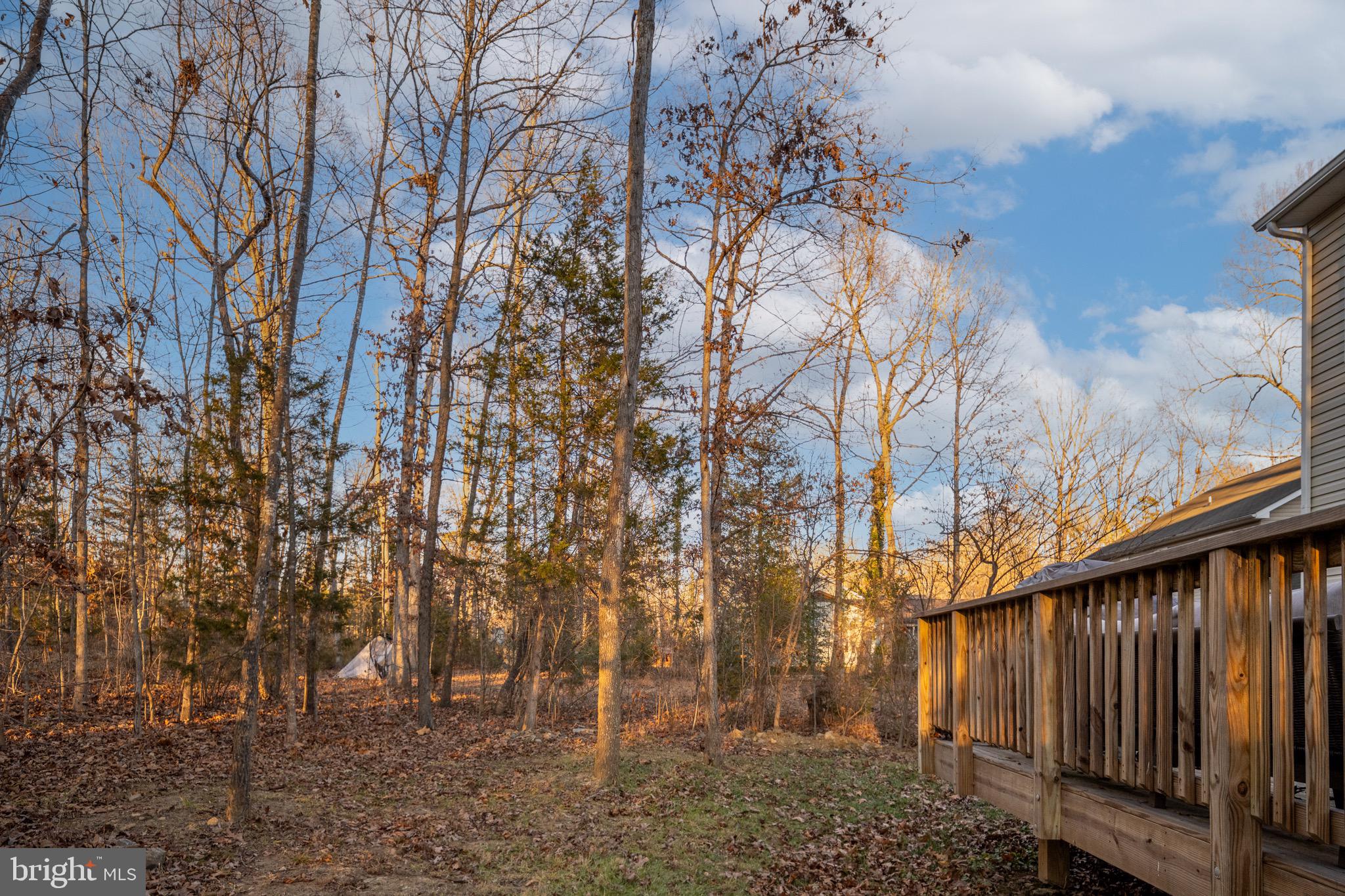 LAKE OF THE WOODS - Residential