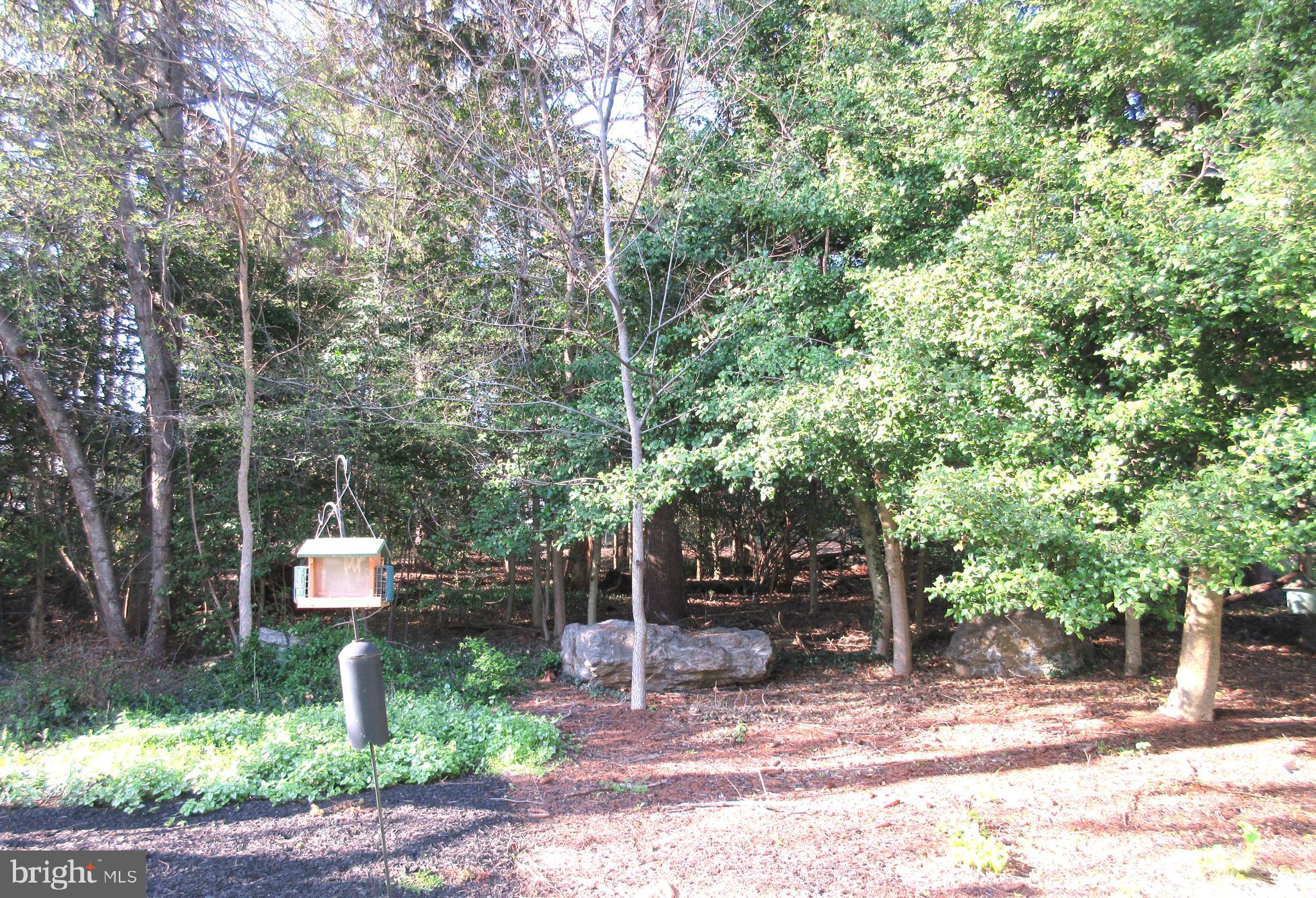 REGENTS PARK - Residential