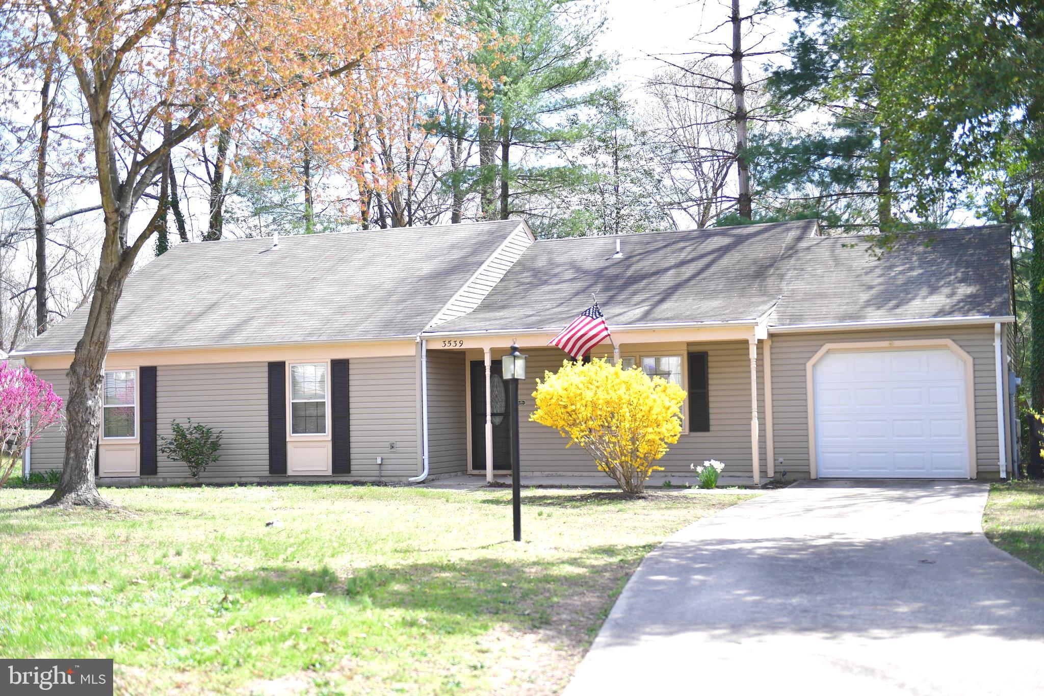 3539 SMOKETHORN COURT