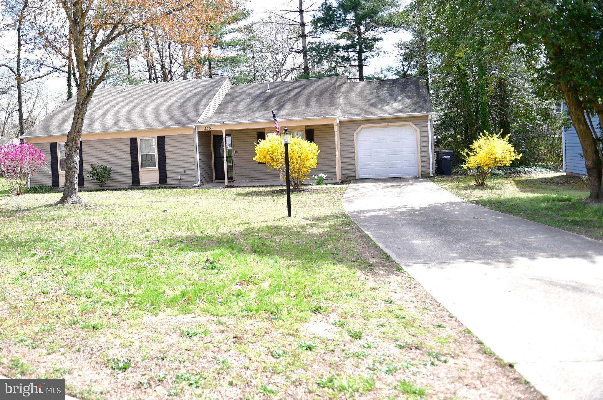 3539 SMOKETHORN COURT