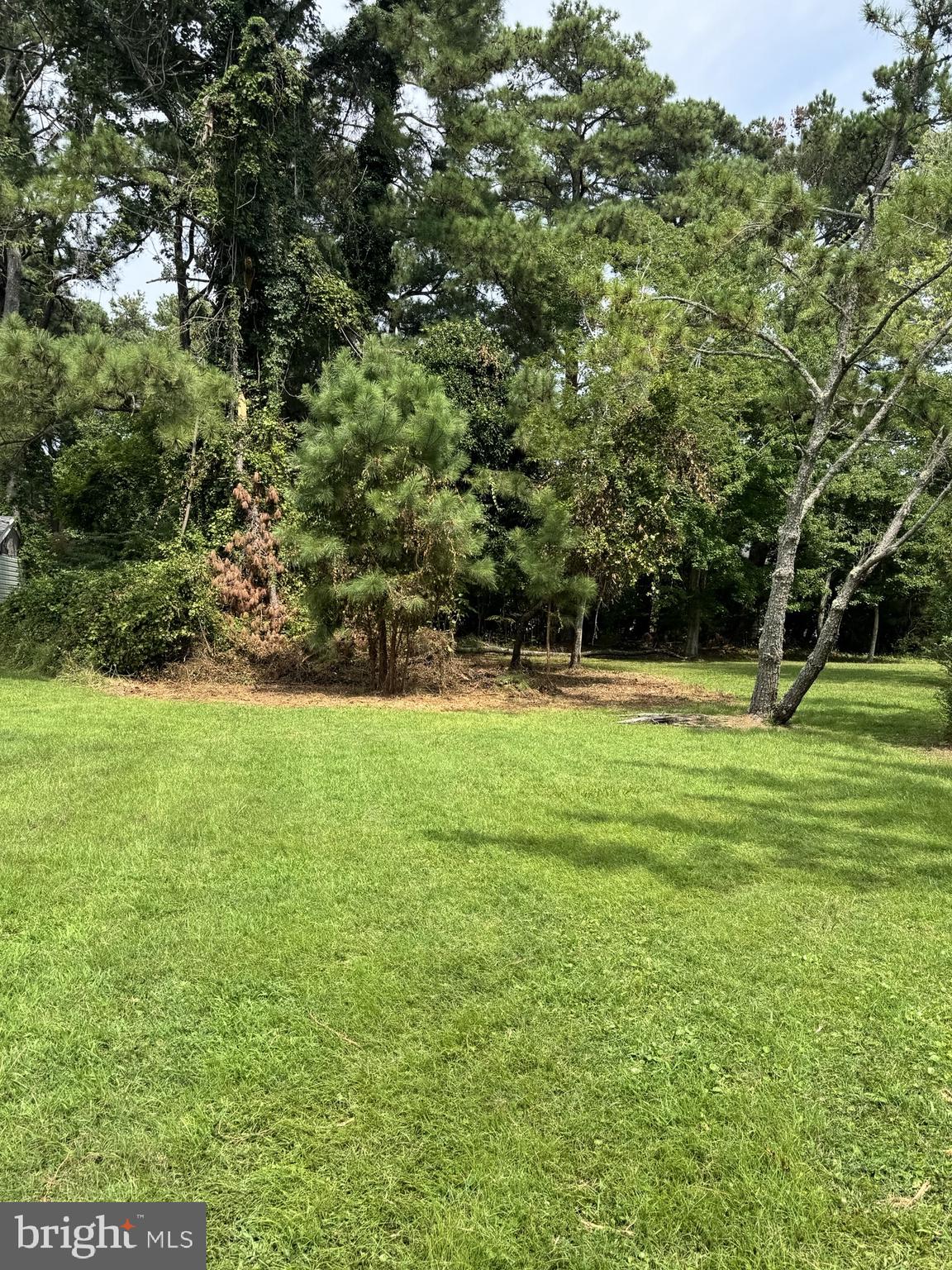 PART OF LOT 110 TARR LANE