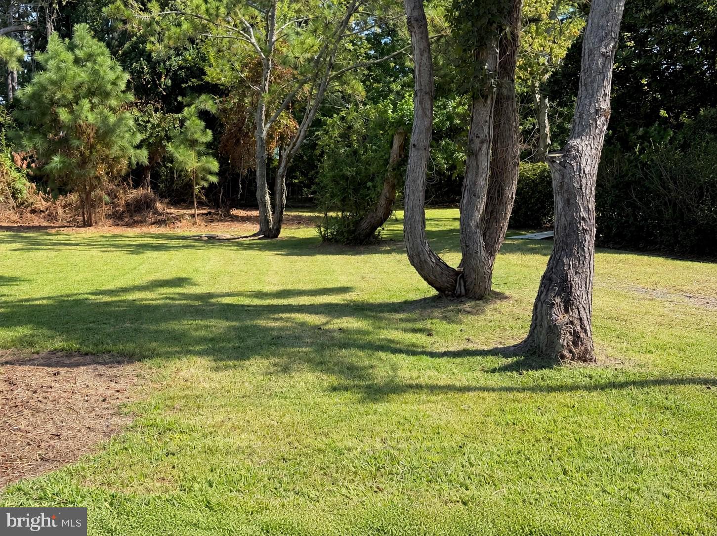 PART OF LOT 110 TARR LANE